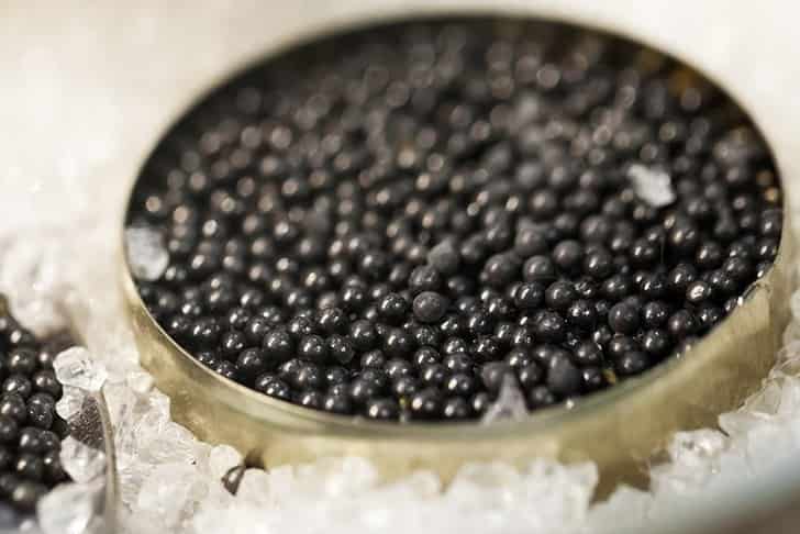 فروش خاویار بلوگا رویال + قیمت خرید به صرفه