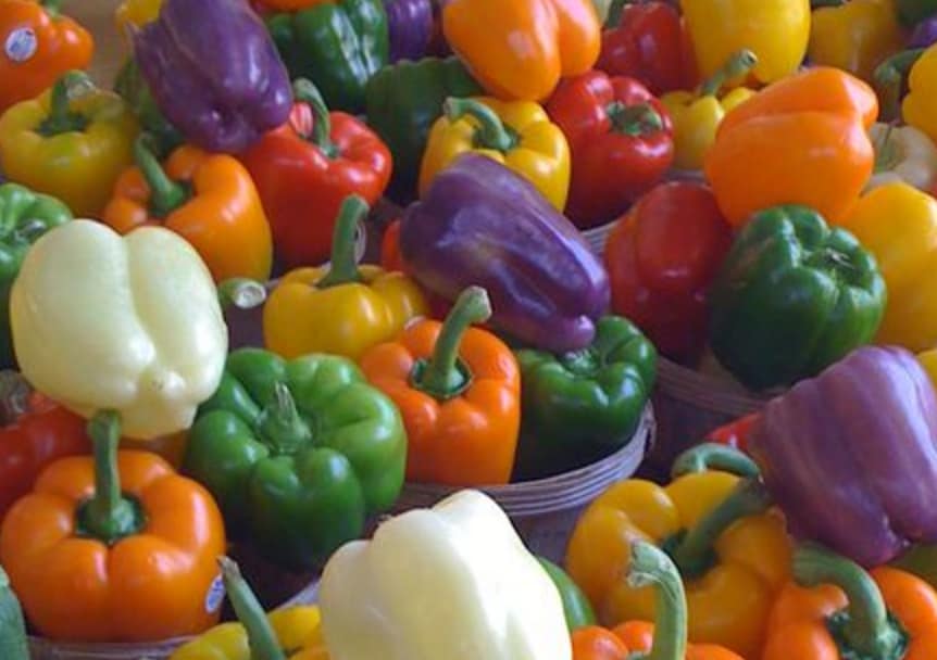 تصویر 2 از قیمت و خرید فلفل دلمه‌ ای رنگی + فروش ارزان