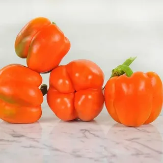 تصویر 1 از خرید فلفل دلمه‌ ای شیرین + بهترین قیمت