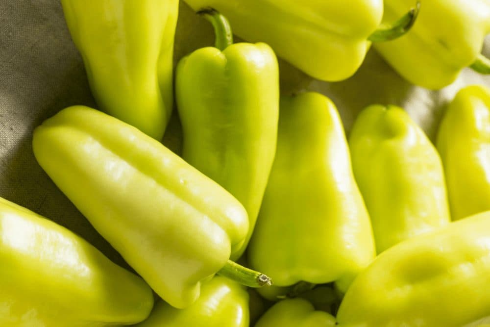 خرید فلفل دلمه‌ ای شیرین + بهترین قیمت