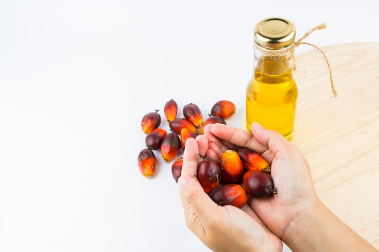 خرید و فروش روغن هسته خرما شیراز با شرایط فوق العاده