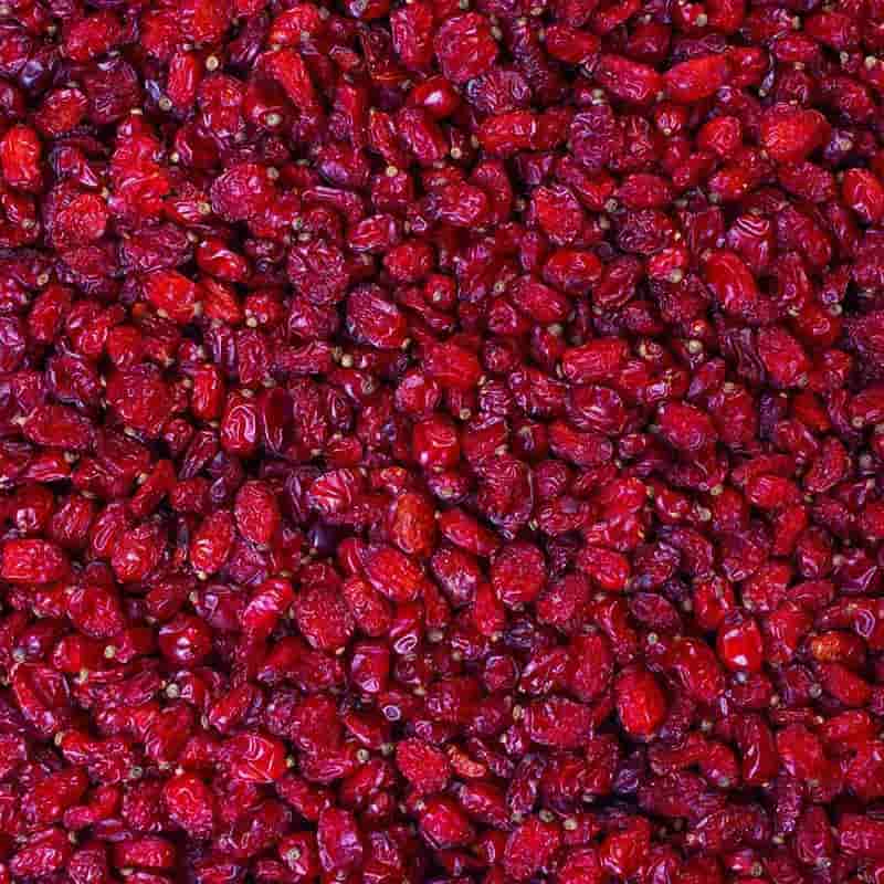 قیمت خرید زرشک درجه 1 بیرجند + فروش ویژه