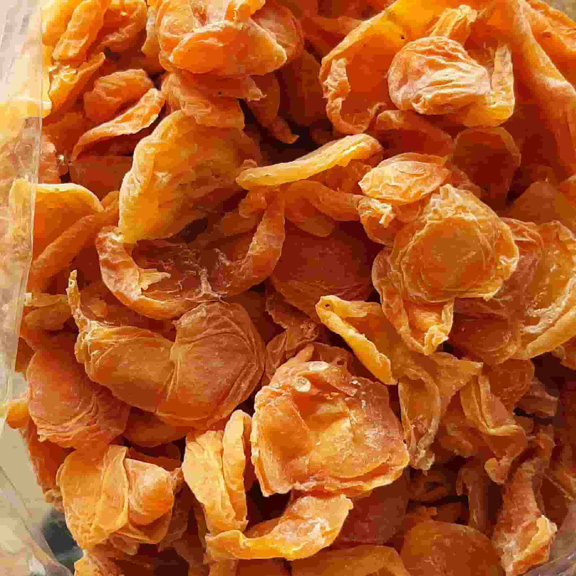 خرید و قیمت انواع قیسی فشرده