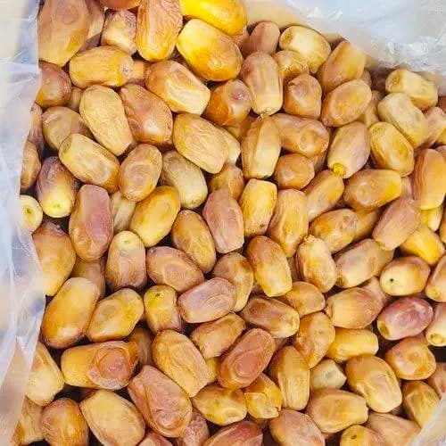 فروش خرما زاهدی خارک + قیمت خرید به صرفه
