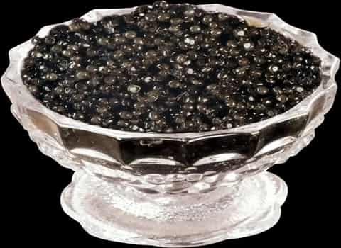 قیمت و خرید شاه خاویار + فروش ویژه