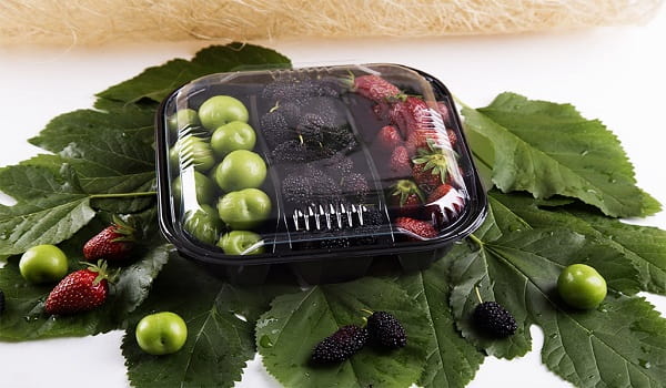 خرید و قیمت ظروف یکبار مصرف در دار + فروش عمده