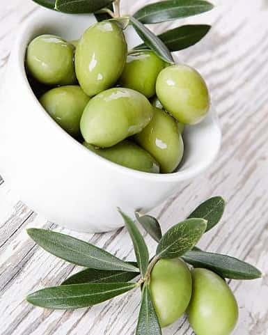 تصویر 1 از قیمت خرید زیتون شور بدون هسته با فروش عمده