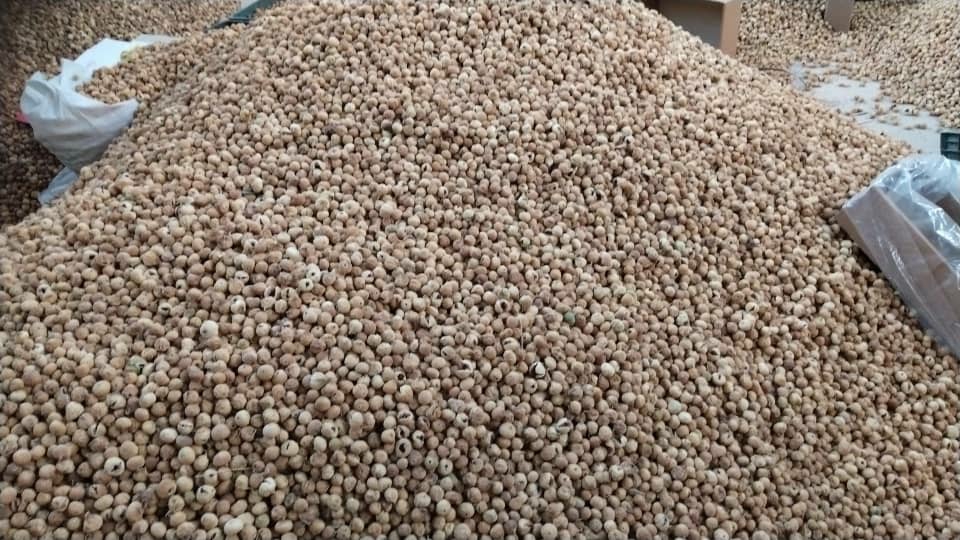 خرید و فروش ویژه انجیر خرمایی درشت مستقیم از باغدار