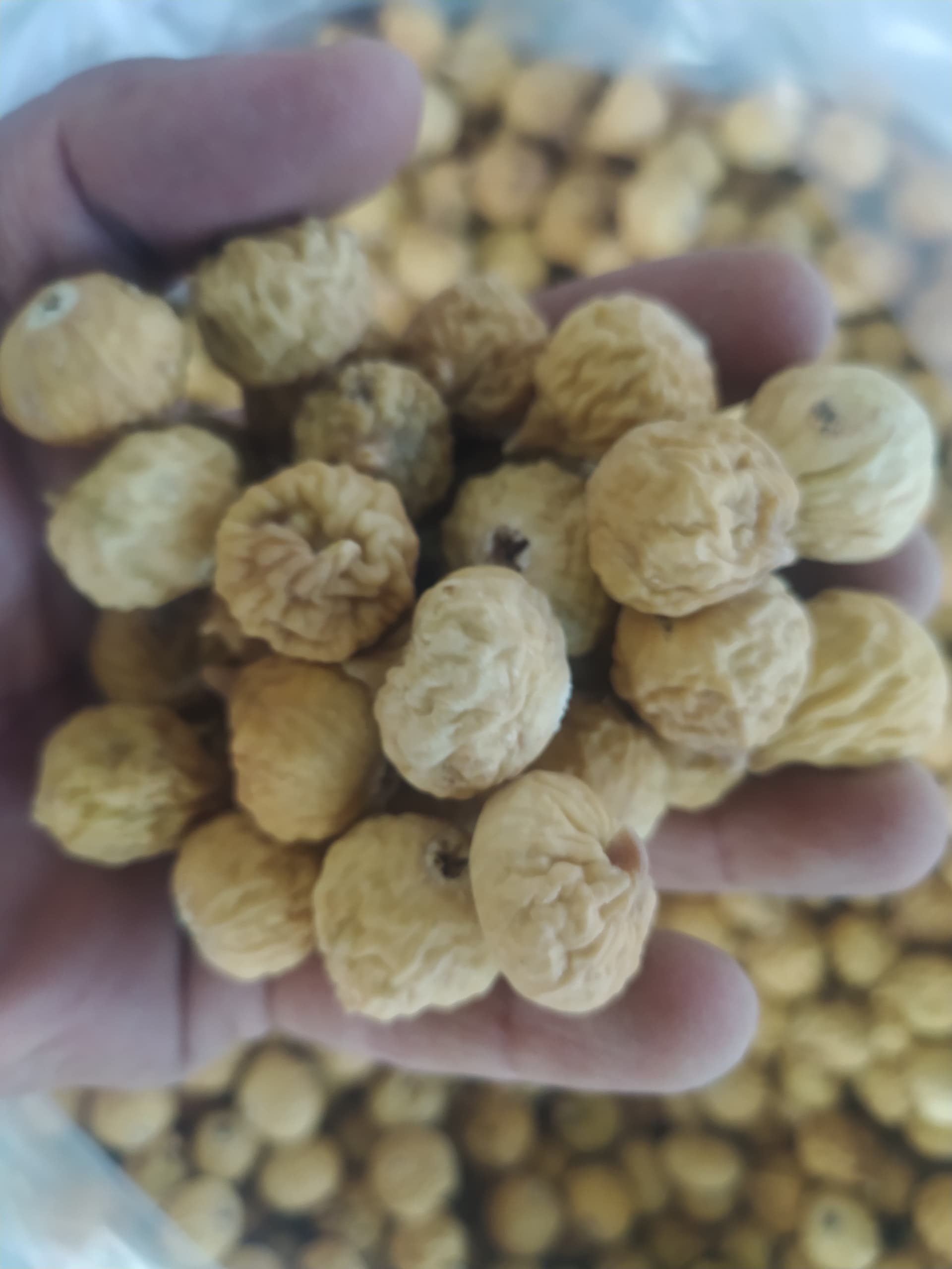 فروش انواع انجیر خشک ریز استهبان با بهترین کیفیت