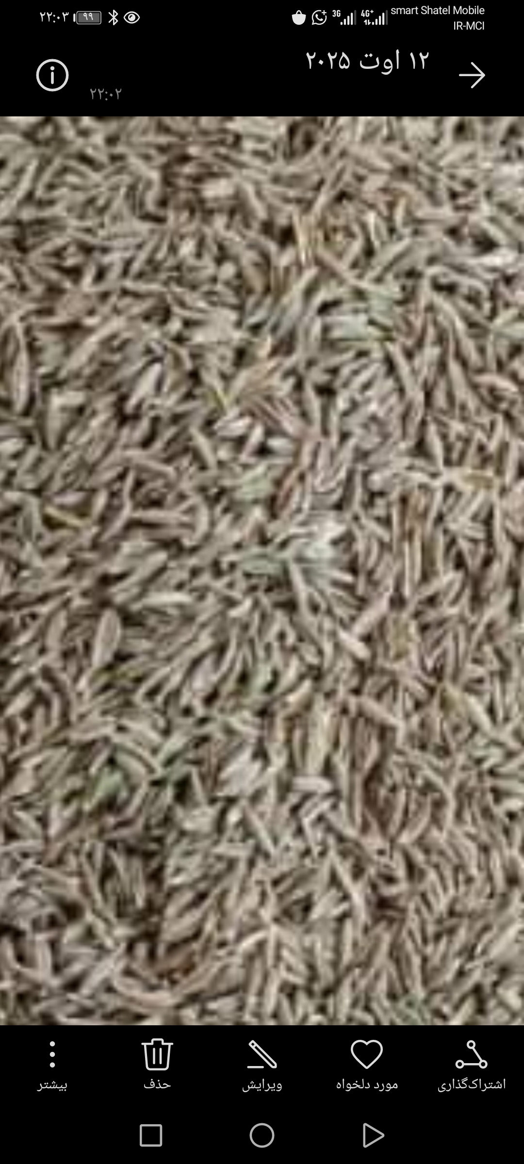 اعلا ترین زیره سبز + قیمت استثنایی