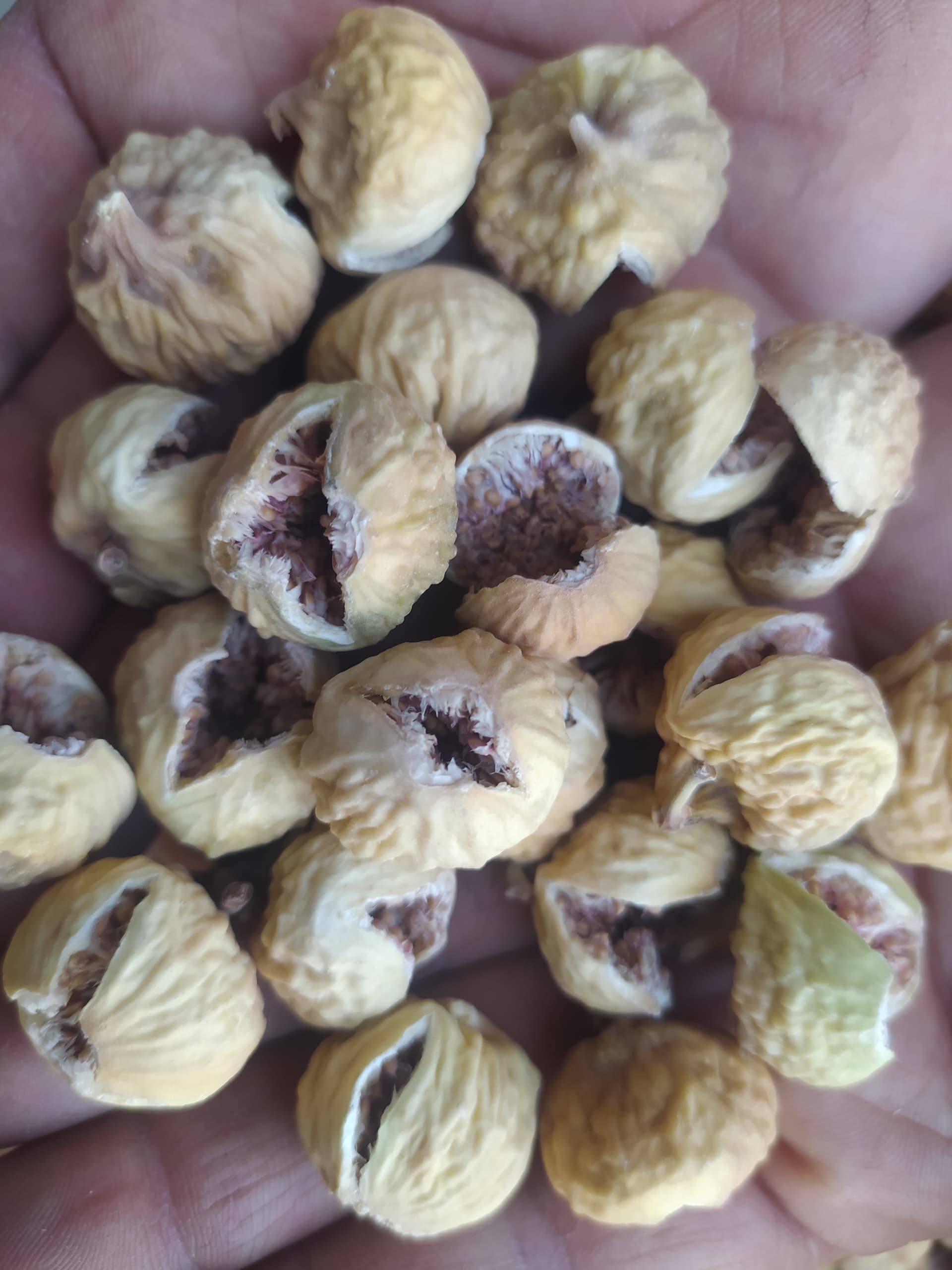 فروش انواع انجیر درشت استهبان با ارسال سریع و سفارش آسان