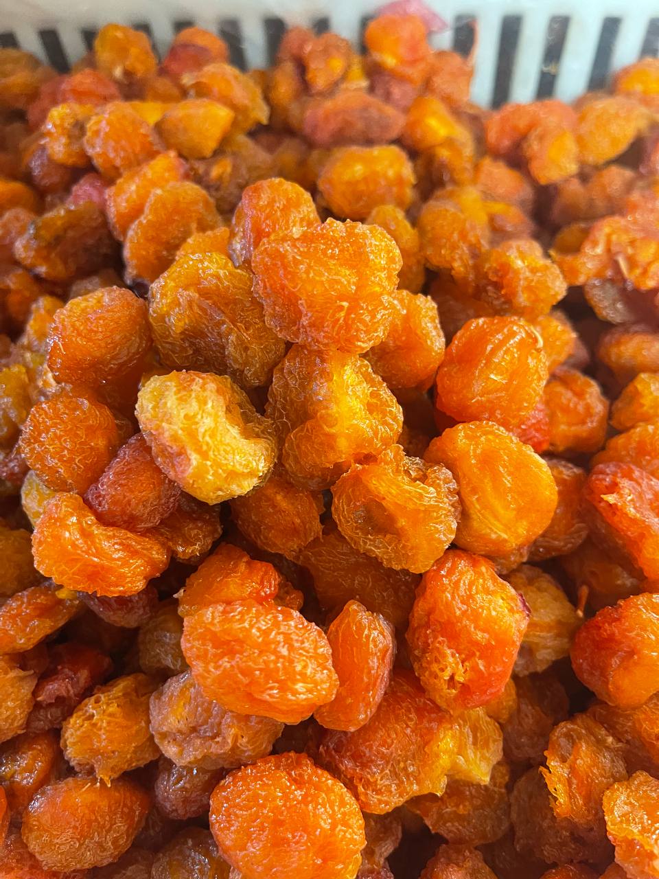 فروش فوری آلو بخارا + بار صادرات