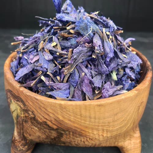 تصویر 5 از قیمت خرید گیاه گل گاو زبان وحشی با فروش عمده