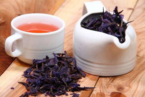 تصویر 3 از قیمت خرید گیاه گل گاو زبان وحشی با فروش عمده