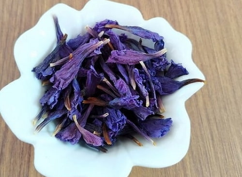 تصویر 2 از قیمت خرید گیاه گل گاو زبان وحشی با فروش عمده