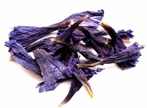 تصویر 1 از قیمت خرید گیاه گل گاو زبان وحشی با فروش عمده