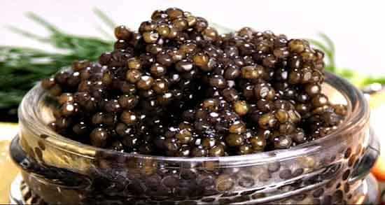 قیمت خاویار بلوگا سیاه با کیفیت ارزان + خرید عمده