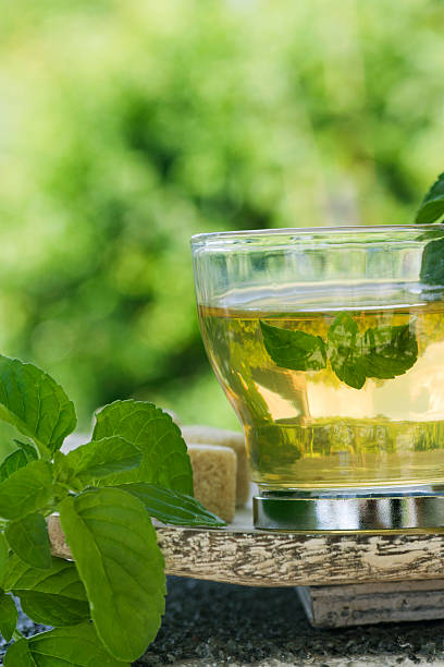 خرید و قیمت عرق نعناع اصل + فروش عمده