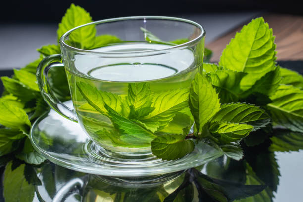 خرید عرق نعناع اصلی + قیمت فروش استثنایی