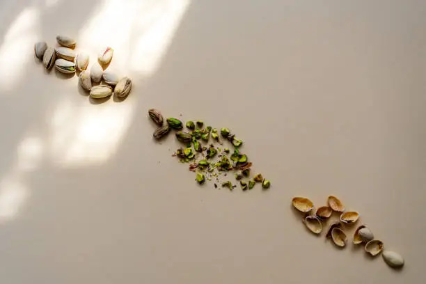 قیمت خرید پسته اکبری شور عمده به صرفه و ارزان