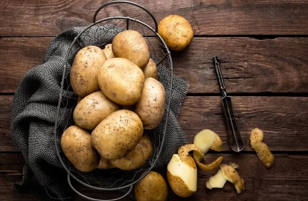 خرید و قیمت سیب زمینی همدان + فروش صادراتی