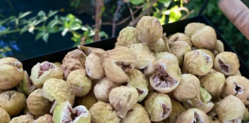 قیمت عمده انجیر غنچه درجه یک استهبان + فروش پاییزه