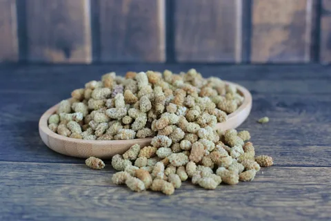 راهنمای خرید توت خشک ارگانیک + قیمت عالی