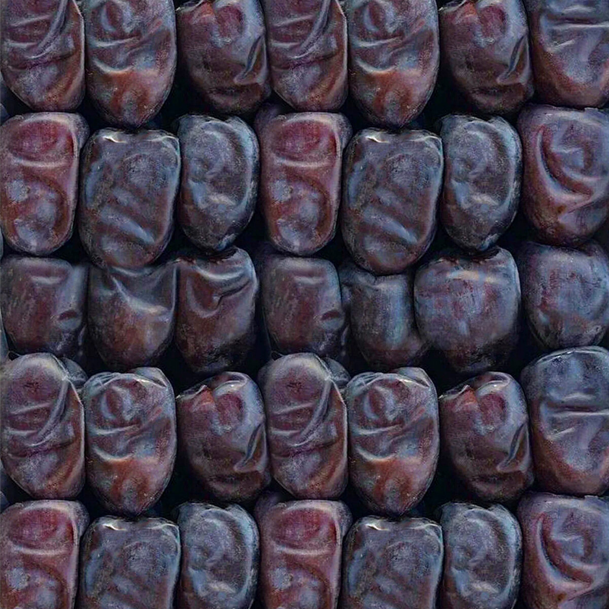 تصویر 3 از خرما مضافتی صادراتی بم خوش‌ رنگ با بافت آرام و مزه ماندگار