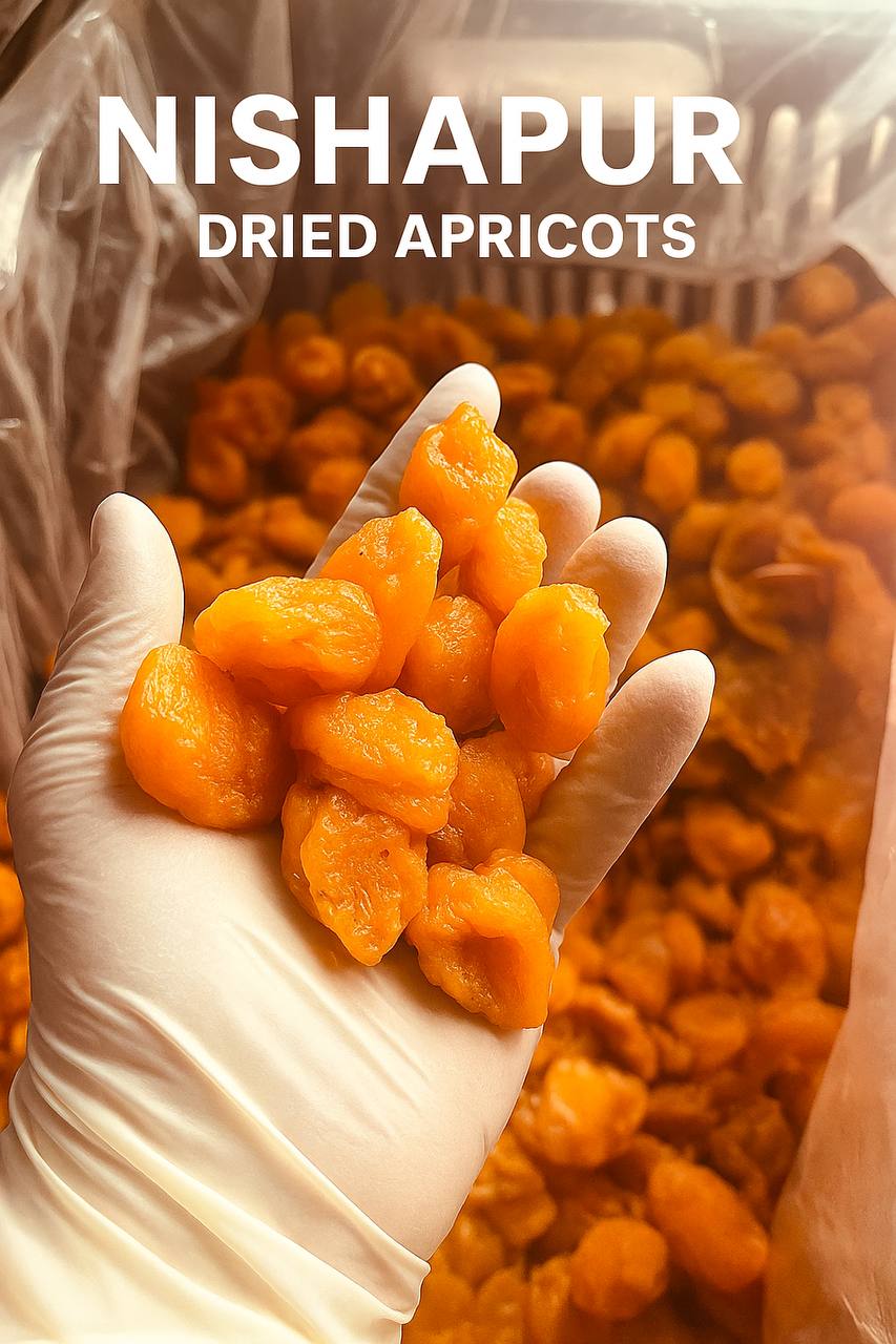 فروش آلو شوقانی ممتاز + قیمت مناسب