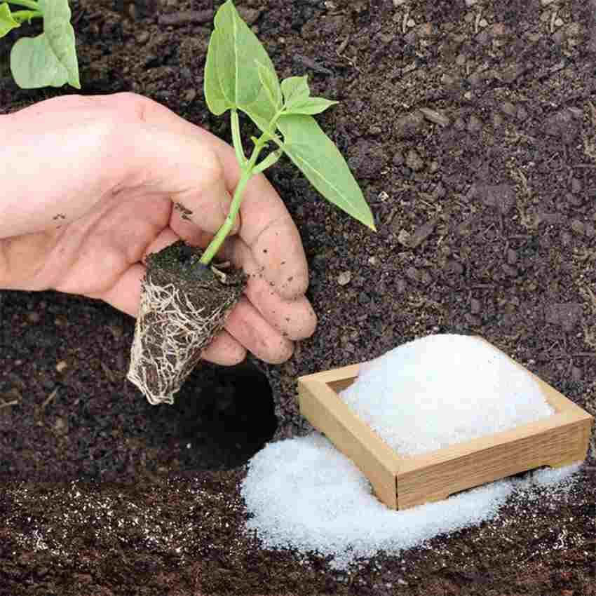 فروش خاک ژله‌ای راز شادابی گیاهان