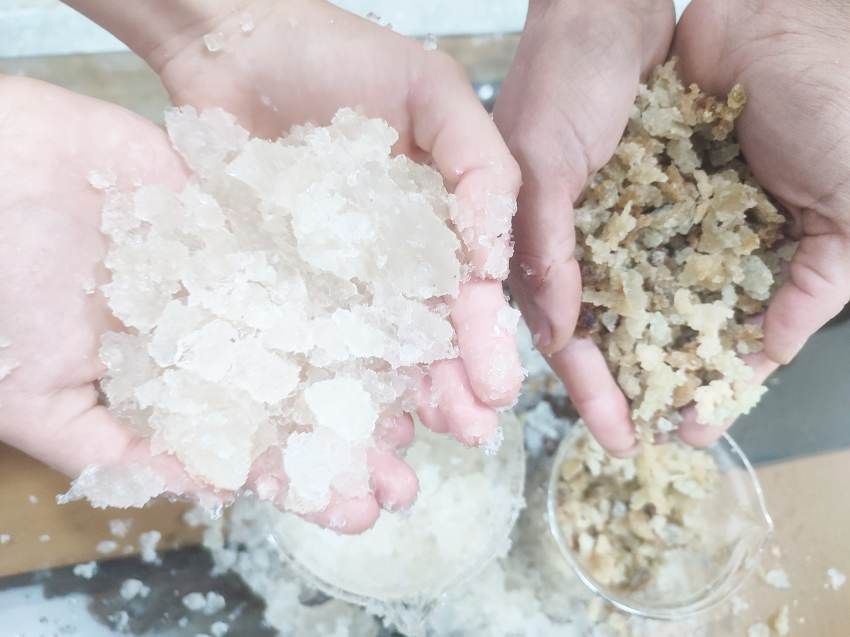 تصویر 3 از هیدروژل جاذب نجات‌دهنده ریشه در زمان کمبود آب