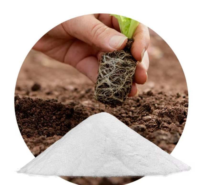 تصویر 3 از هیدروژل و خاک ژله‌ای : ترکیب جدید برای آبیاری بهینه