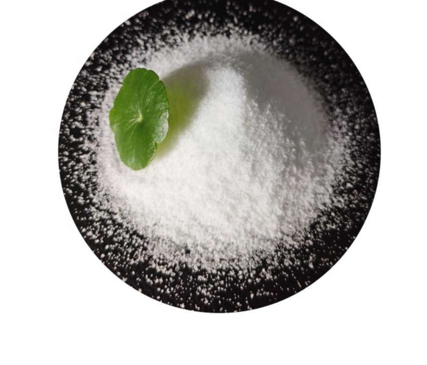 هیدرو ژل جاذب رطوبت هوشمند برای کشاورزی مدرن