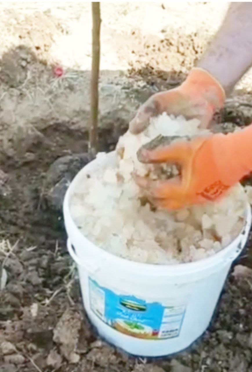 تصویر 1 از هیدروژل جاذب قوی برای مقابله با خشکی خاک