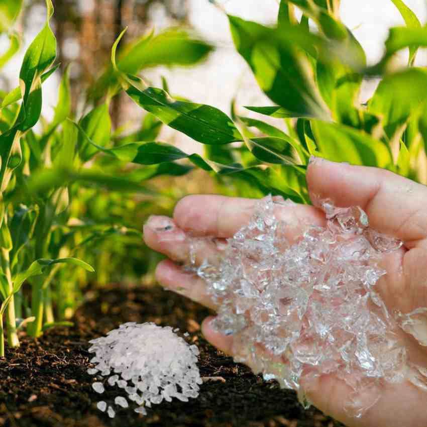 تصویر 2 از کاهش نیاز به آبیاری با ترکیب کود و هیدروژل در خاک ژله ای + قیمت