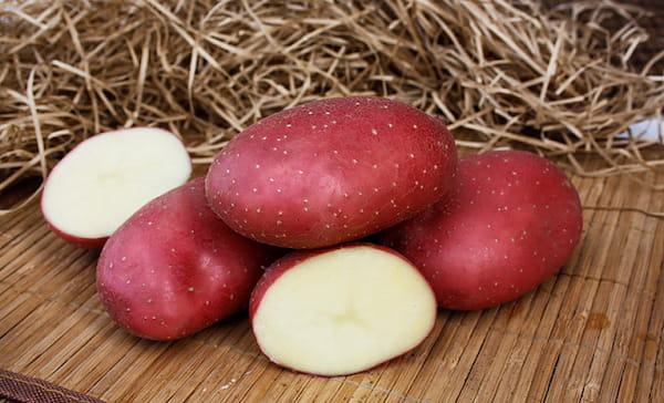 قیمت خرید سیب زمینی قرمز + فروش ویژه