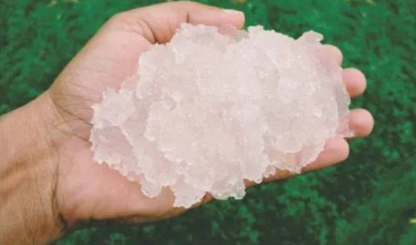 تصویر 2 از خاک ژله‌ای و هیدروژل، بهترین ترکیب برای صرفه‌ جویی در منابع آب