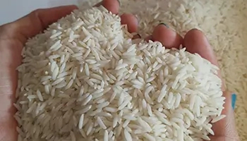 تصویر 1 از خرید برنج هاشمی شمال + قیمت فروش استثنایی