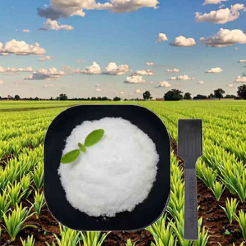 تصویر 2 از هیدروژل فناوری نوین برای کشاورزی پایدار