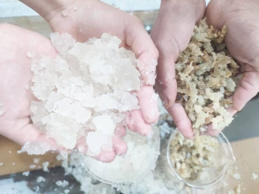 تصویر 1 از فروش هیدروژل راهکار افزایش باردهی و مقاومت گیاهان