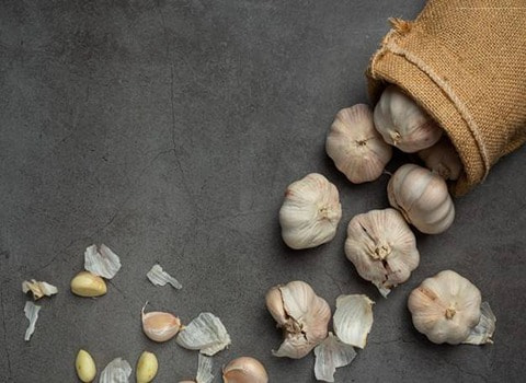 قیمت موسیر تازه + خرید باور نکردنی