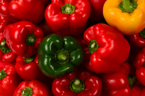 تصویر 2 از خرید و قیمت انواع فلفل دلمه ای قرمز