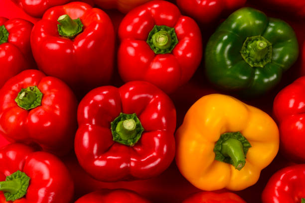 تصویر 3 از خرید و قیمت انواع فلفل دلمه ای قرمز