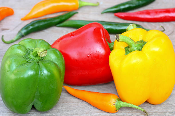 خرید جدیدترین انواع فلفل دلمه جیرفت