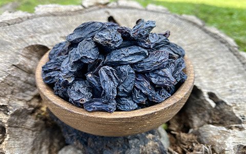 خشکبار مرغوب تاکستان