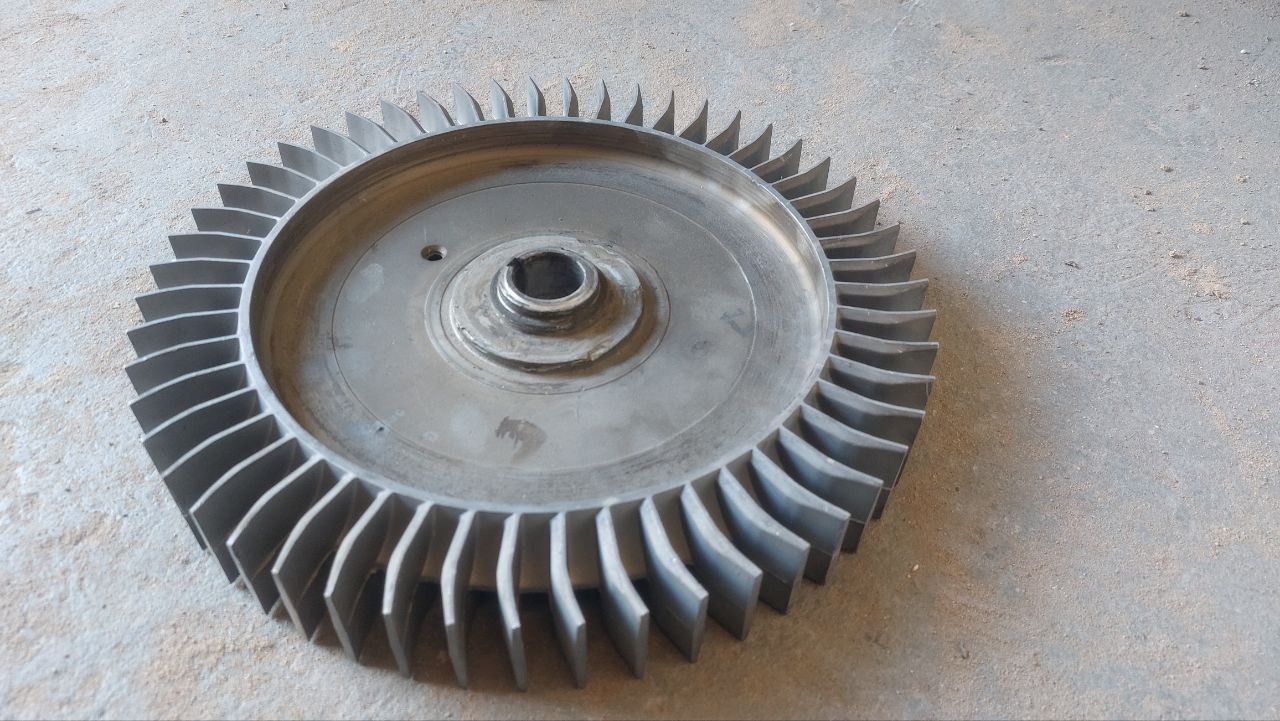 قیمت پروانه بلوبوری سانکس فروش استثنایی