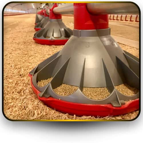 فروش ویژه بشقاب دانخوری مرغ نیپل