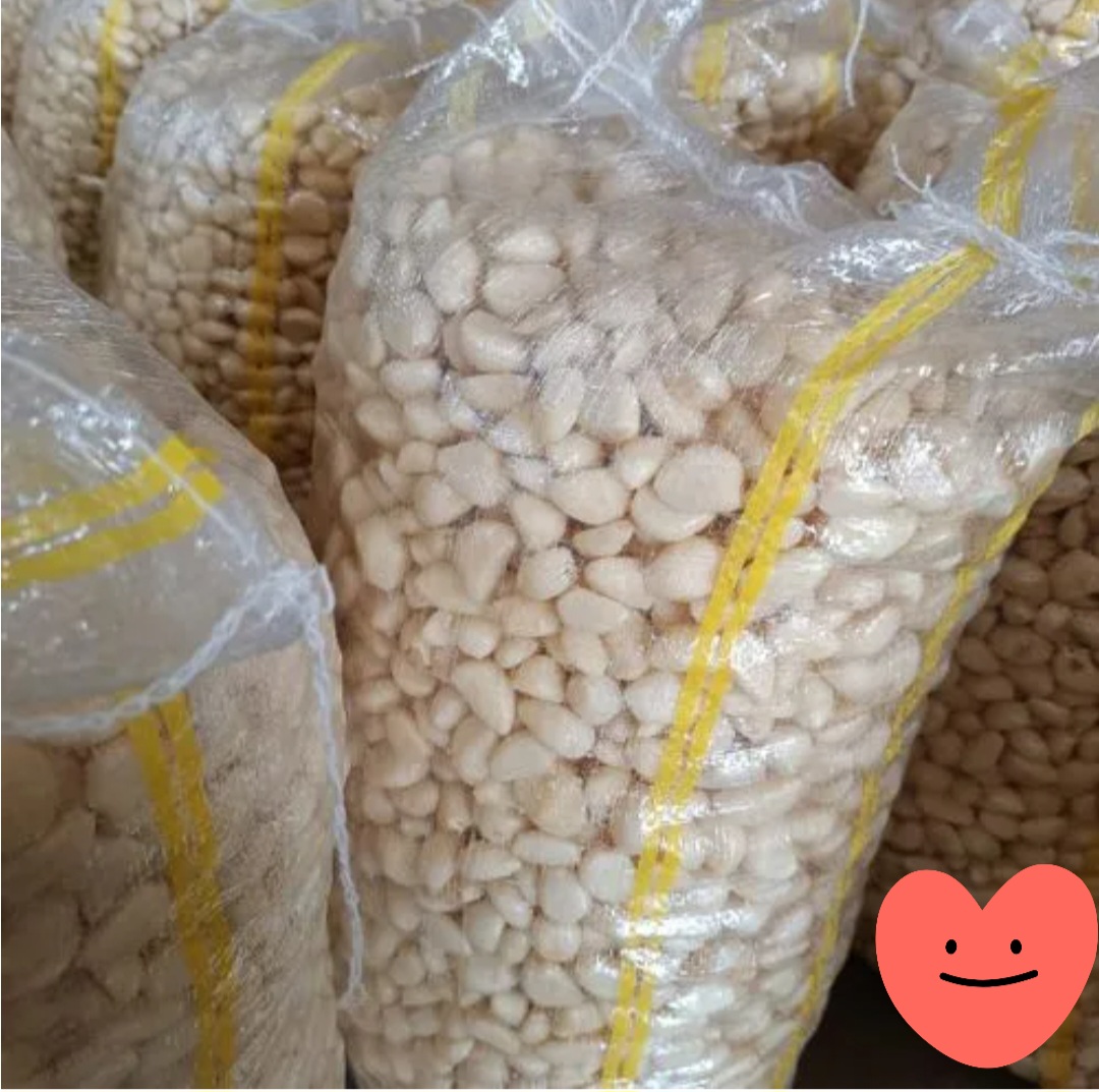 فروش سیر مروارید بلانچ شده با کیفیت عالی