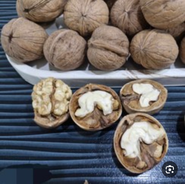 خریده عمده گردوی کاغذی اذرشهر برای دسرهای مخصوص + فروش عمده برای عمده فروشان