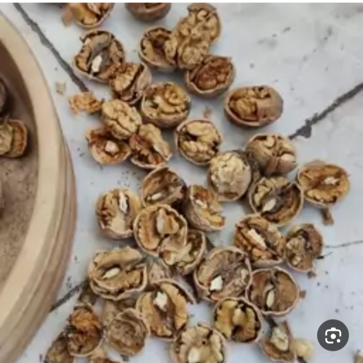 خرید عمده گردوی کاغذی معرف به طبیعت پایدار + فروش عمده برای سوده طرفین